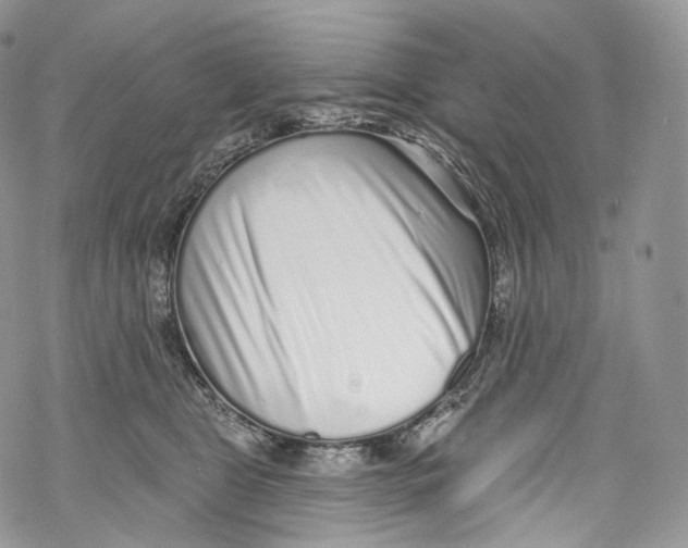 X0000069360469200606021457