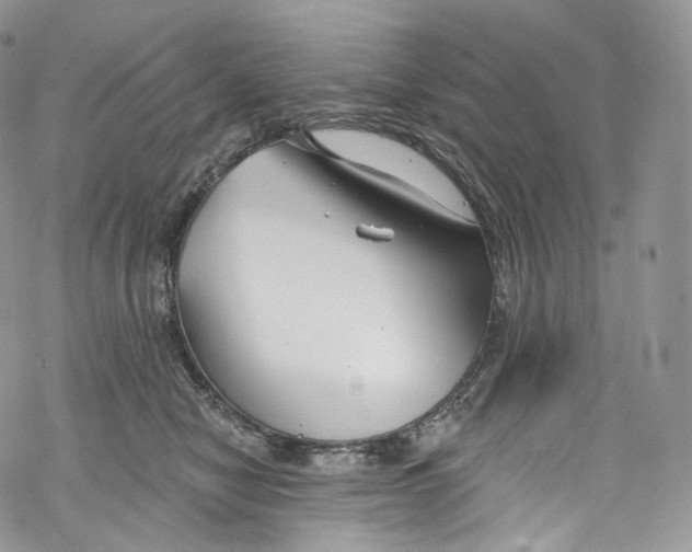 X0000069360470200606021457