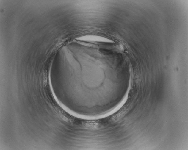 X0000069360471200606021457