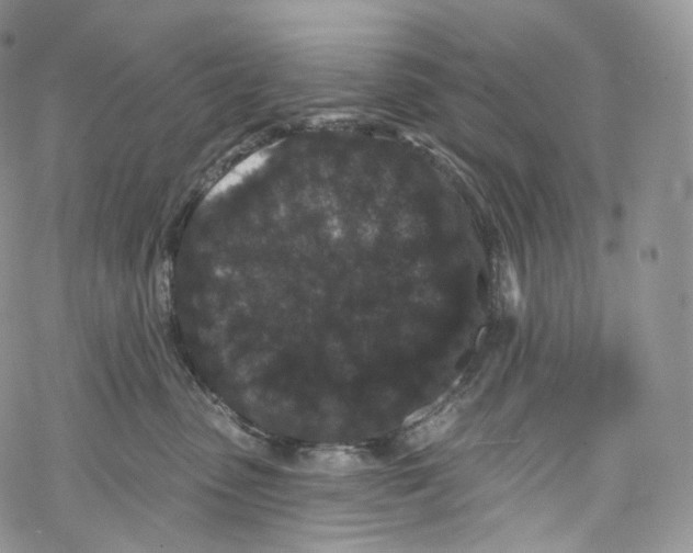 X0000069360475200606021457