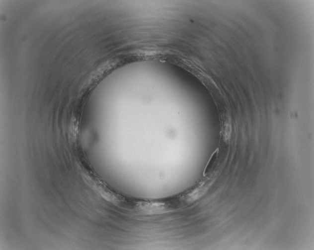 X0000069360476200606021457