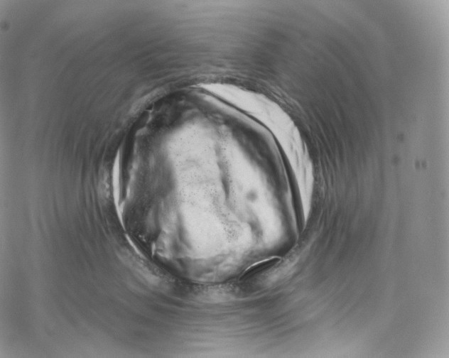 X0000069360479200606021457