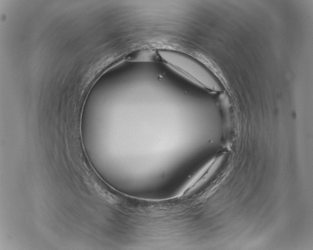 X0000069360481200606021457