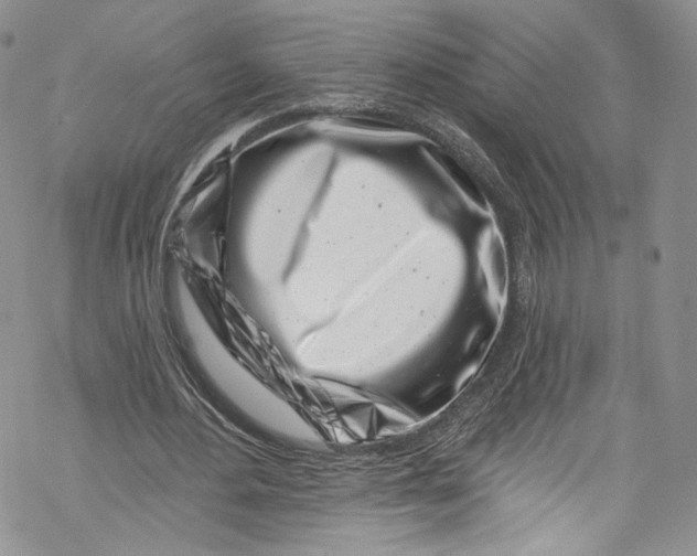 X0000069360484200606021457