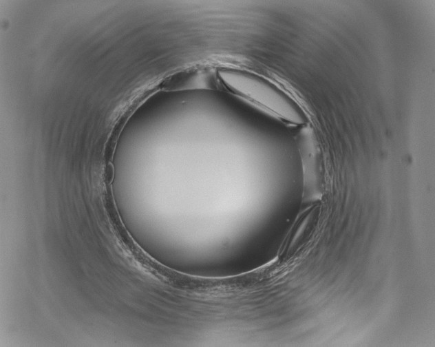 X0000069360485200606021457