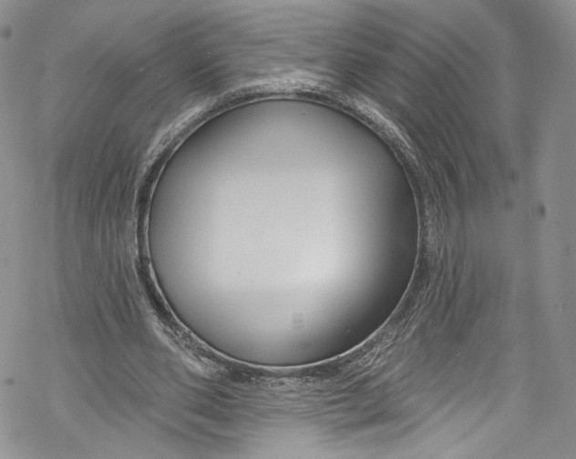 X0000069360486200606021457