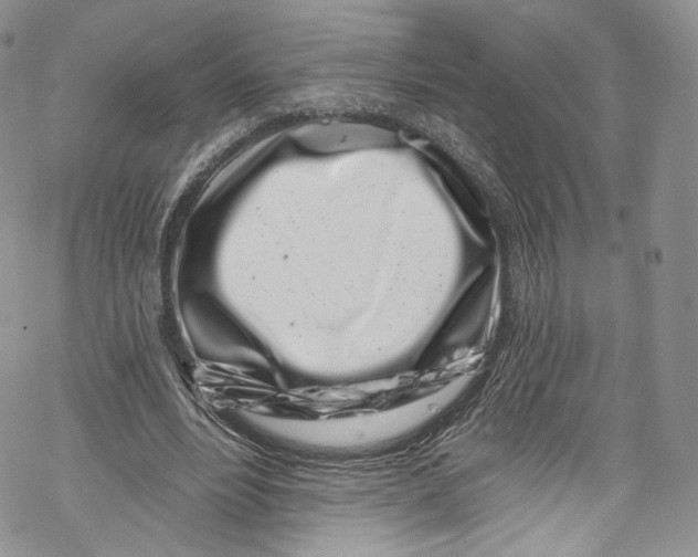 X0000069360488200606021457