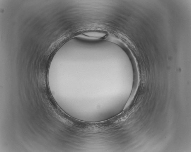 X0000069360489200606021457