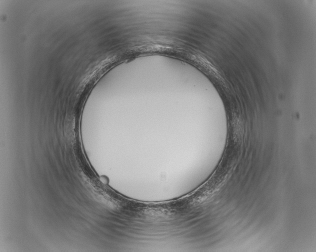 X0000069360490200606021457