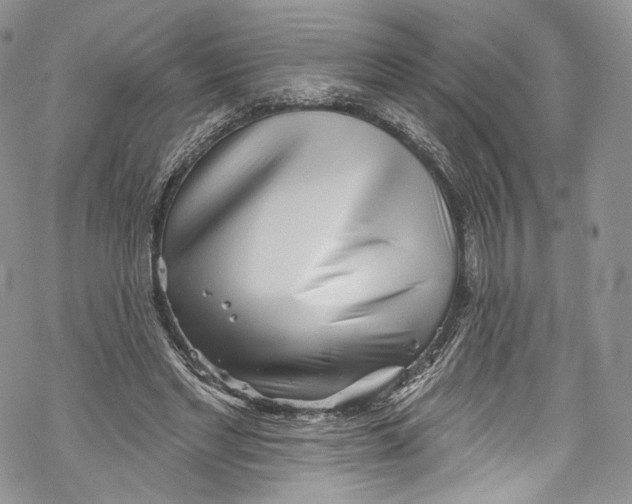 X0000069360493200606021456