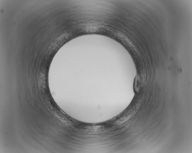 X0000069360497200606021456