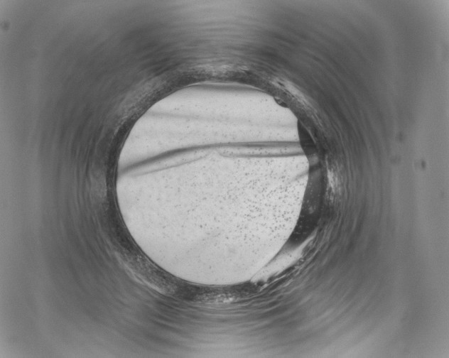 X0000069360500200606021456