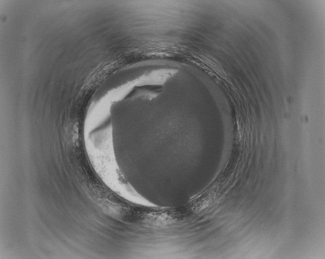 X0000069360502200606021456