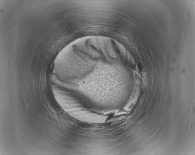 X0000069360504200606021456