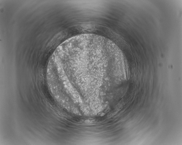 X0000069360506200606021456