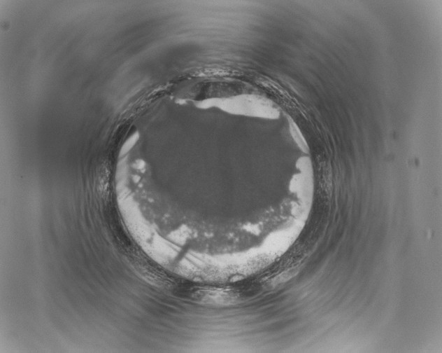 X0000069360507200606021456