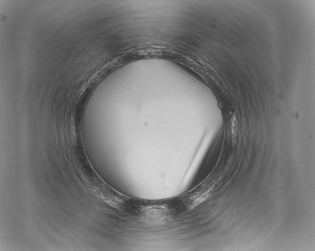 X0000069360508200606021456