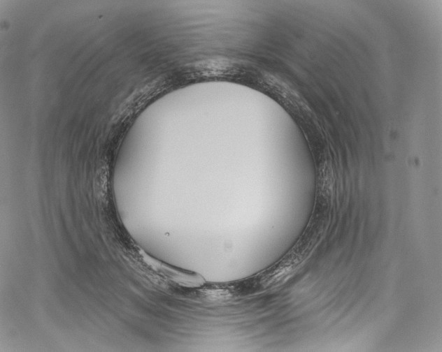 X0000069360509200606021456