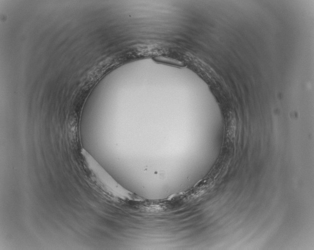 X0000069360513200606021456