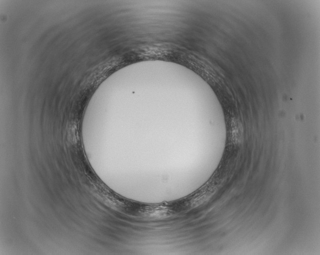 X0000069360514200606021456