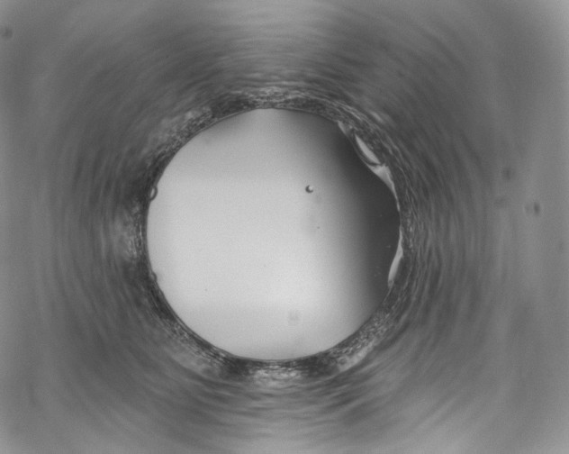 X0000069360515200606021456