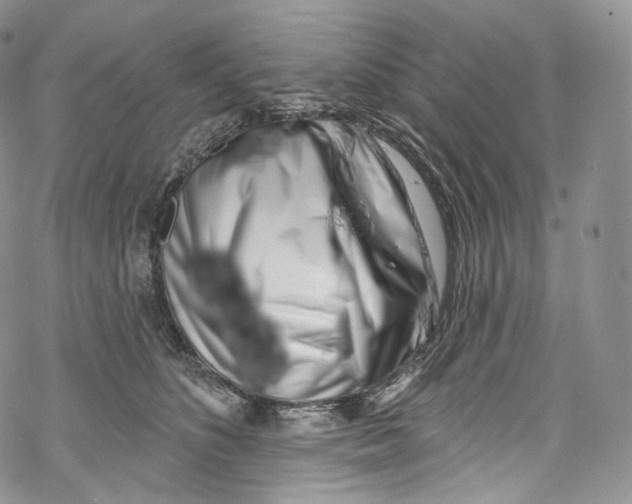 X0000069360516200606021456