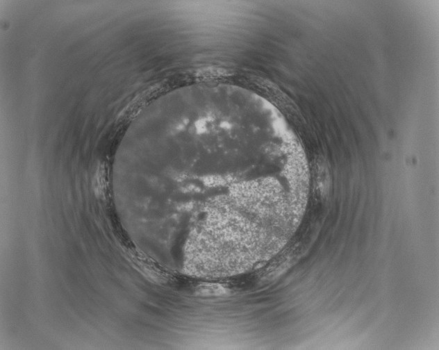 X0000069360519200606021456