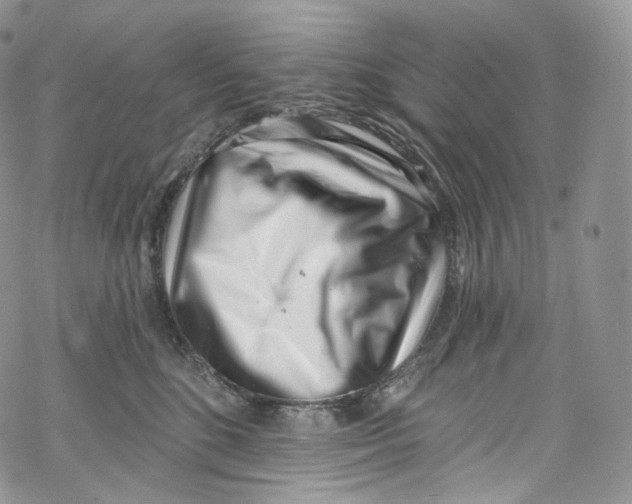 X0000069360520200606021456