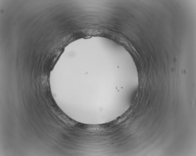 X0000069360521200606021456