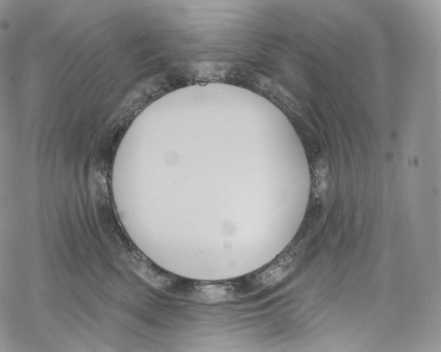 X0000069360522200606021456