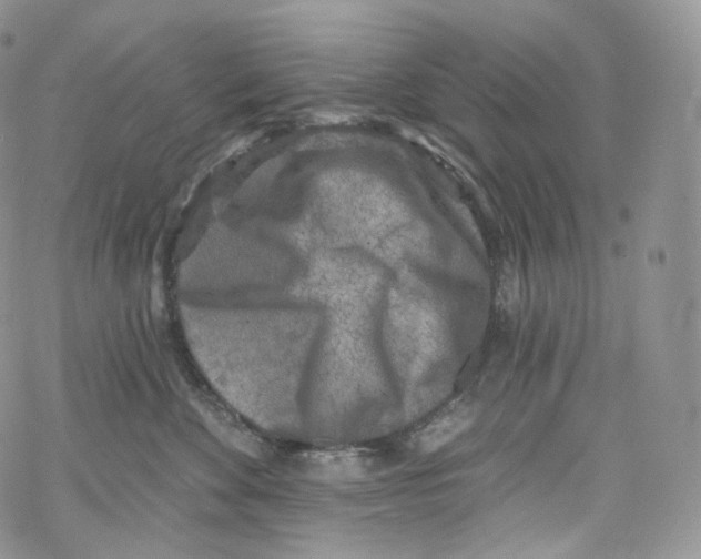 X0000069360524200606021456