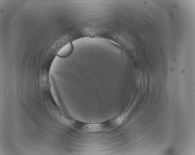 X0000069360526200606021456