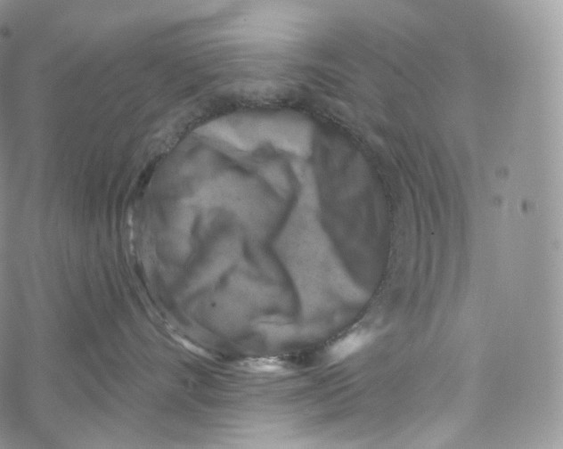 X0000069360528200606021456