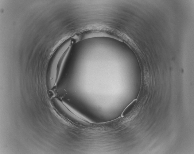 X0000069360530200606021455