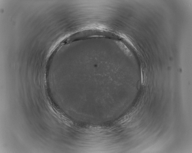 X0000069360531200606021455