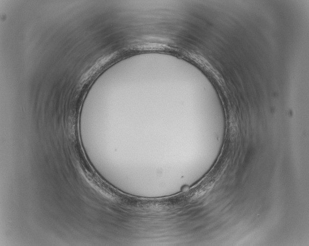 X0000069360533200606021455