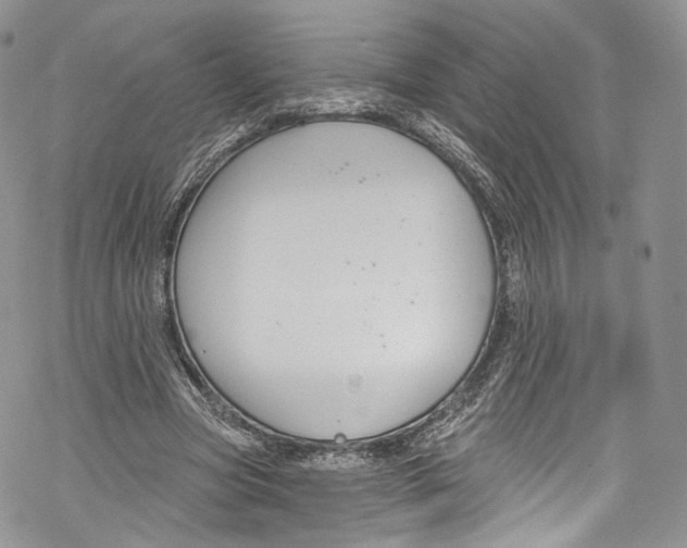 X0000069360537200606021455