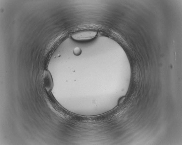 X0000069360538200606021455