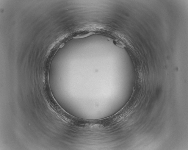 X0000069360539200606021455