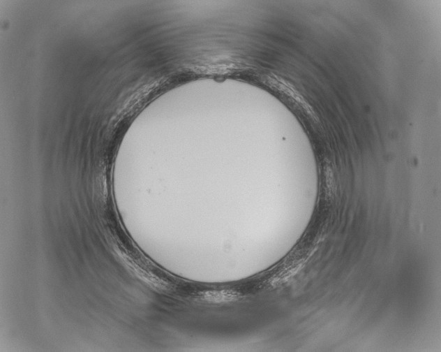 X0000069360541200606021455