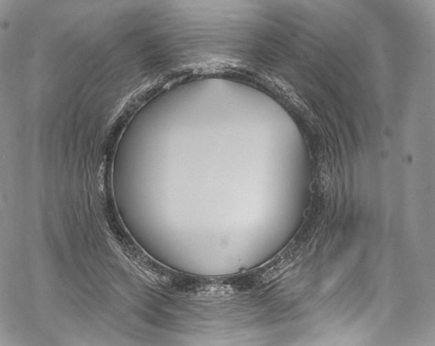 X0000069360543200606021455