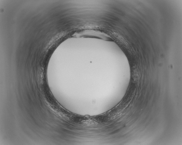 X0000069360544200606021455