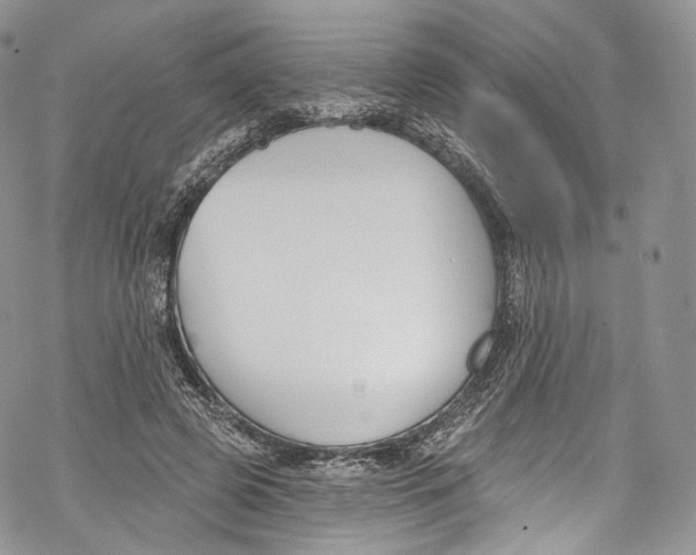 X0000069360545200606021455