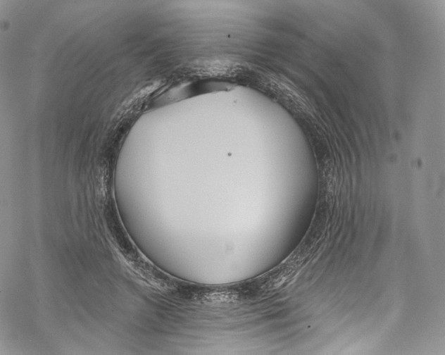 X0000069360546200606021455