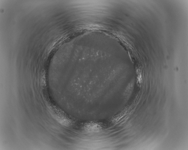 X0000069360547200606021455