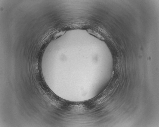 X0000069360548200606021455