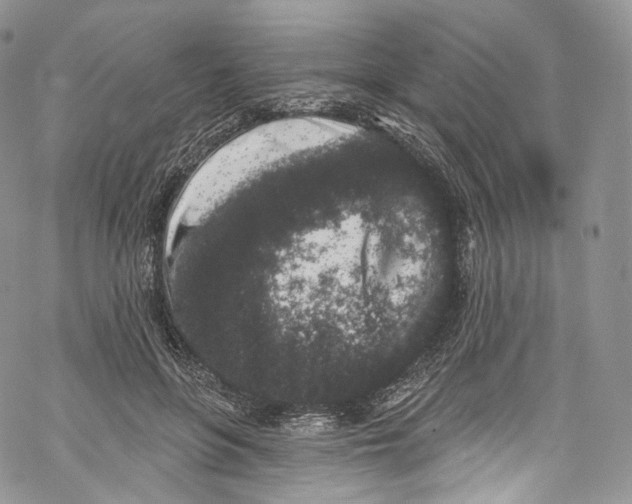 X0000069360551200606021455