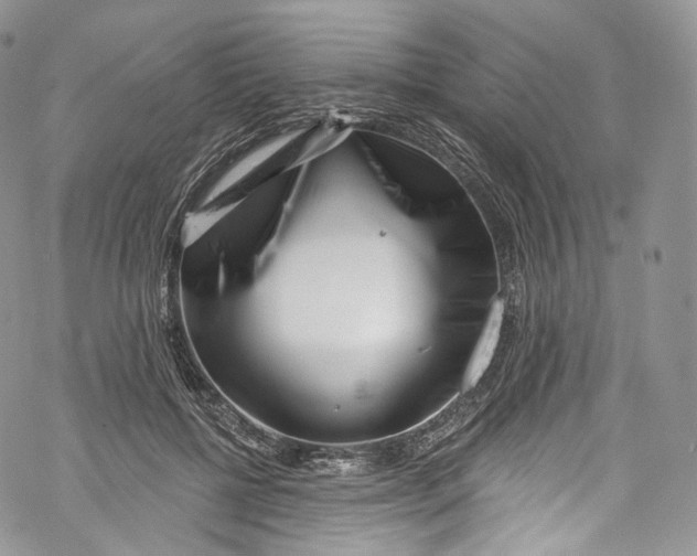 X0000069360552200606021455