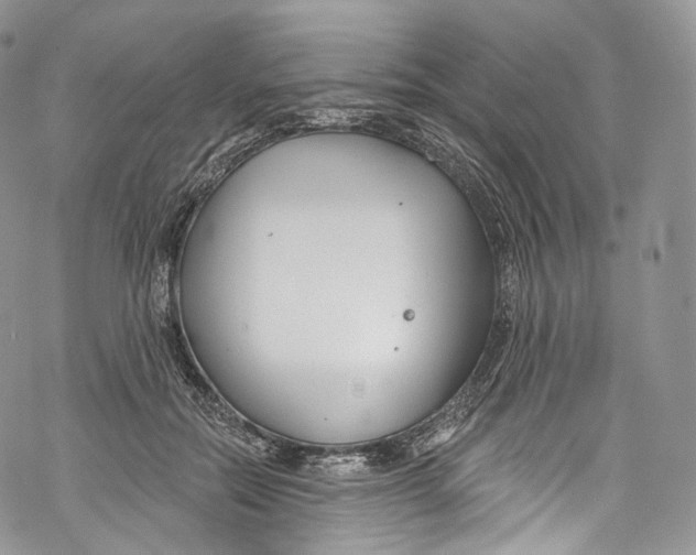 X0000069360554200606021456