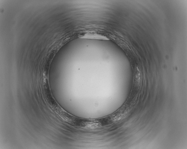 X0000069360555200606021456